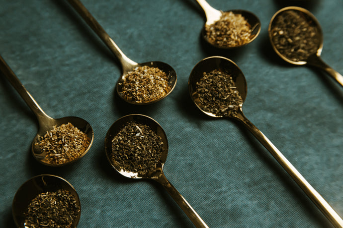 What are Gourmet Spice Blends and Basic Cooking Methods for flavorful dishes?
